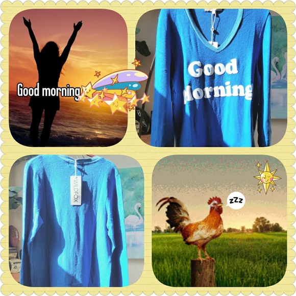 Wildfox "Good Morning" BBJ - Picture 4 of 5