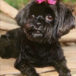 Meet your Posher, Monica