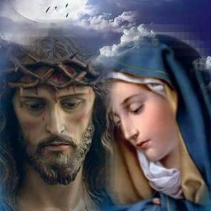 Meet your Posher, Martha