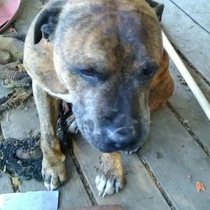 Meet your Posher, Sonja