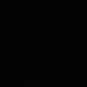 Meet your Posher, Larry