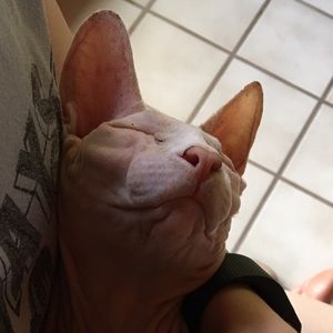 Meet your Posher, Kristina