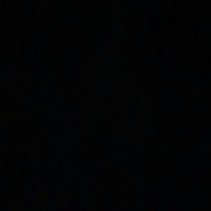 Meet your Posher, Laila