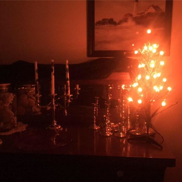 Meet your Posher, Suzanne - Picture 1 of 1