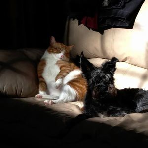 Meet your Posher, Polly