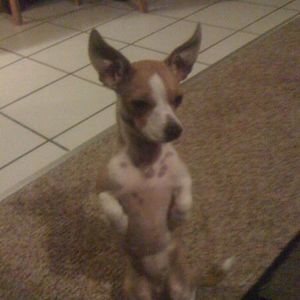 Meet your Posher, Melissa