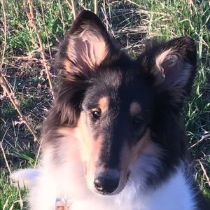 Meet your Posher, Theo