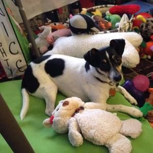 Meet your Posher, Jackie