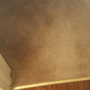 Meet your Posher, Cody