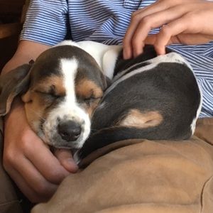 Meet your Posher, Conner