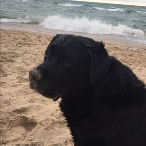 Meet your Posher, Dori