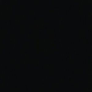 Meet your Posher, Shatwana