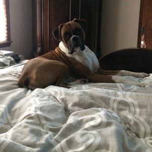 Meet your Posher, Alison