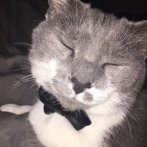 Meet your Posher, Jackie