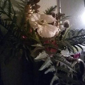 Meet your Posher, Judy