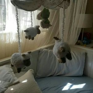 Meet your Posher, Alex