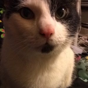 Meet your Posher, Tabitha