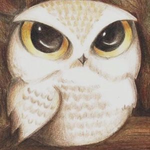 Meet your Posher, Rose