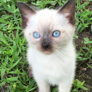 Meet your Posher, Christie