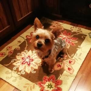 Meet your Posher, Sandra