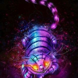 Meet your Posher, Kaitlyn