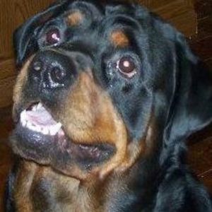 Meet your Posher, Charisse