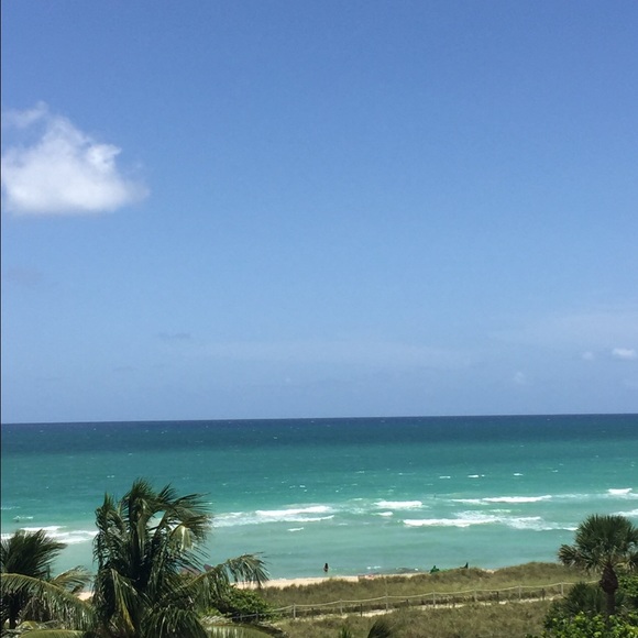 Meet your Posher, Tamara - Picture 1 of 1