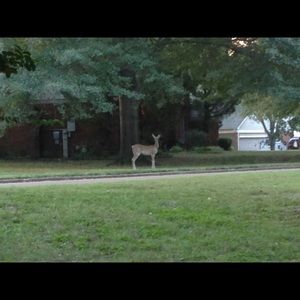 Meet your Posher, Cathy
