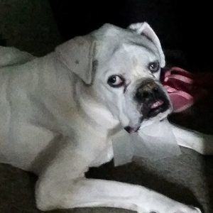 Meet your Posher, Becky