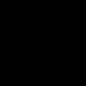 Meet your Posher, Adriana