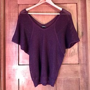 Express Sparkly Dress Top