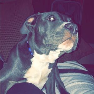 Meet your Posher, Kaden