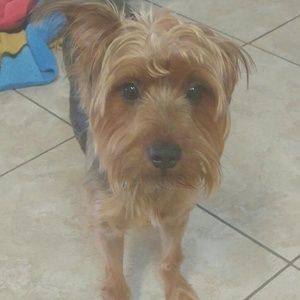 Meet your Posher, Brandy