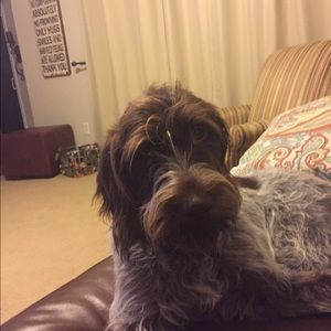 Meet your Posher, Joanne