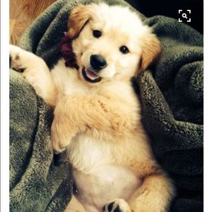 Meet your Posher, Lorin