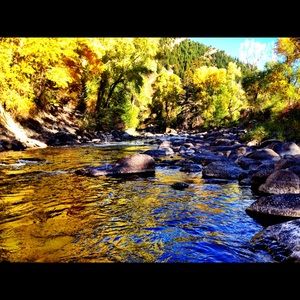 Meet your Posher, Taryn