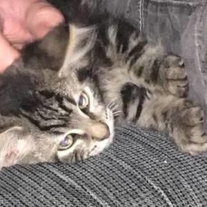 Meet your Posher, Mary beth