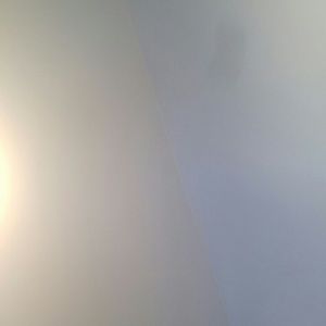 Meet your Posher, Jessie