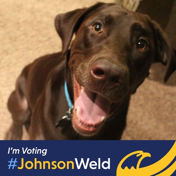 Meet your Posher, Brian - Picture 1 of 1