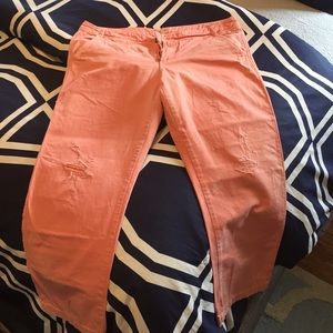 Cropped or Capri pink distressed pants