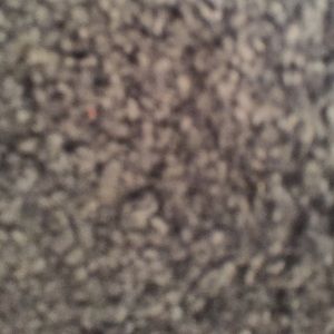 Meet your Posher, Juliana