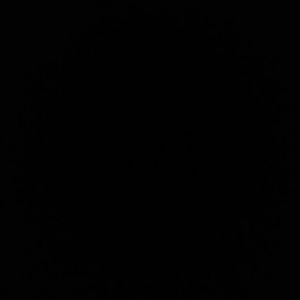 Meet your Posher, Manuel