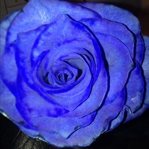 Meet your Posher, Sonia