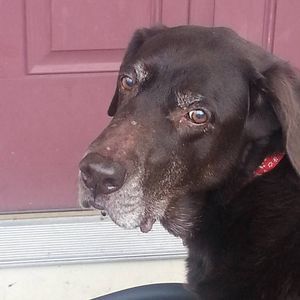 Meet your Posher, Anita