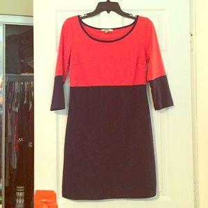 BB Dakota Bodycon Dress