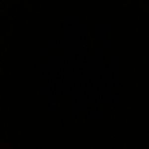 Meet your Posher, Willie