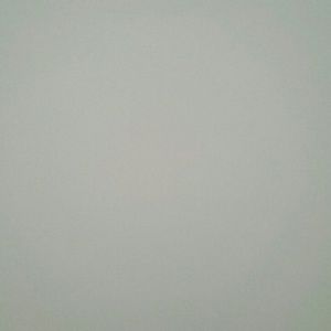 Meet your Posher, Carmen