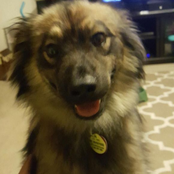 Meet your Posher, Tyler - Picture 1 of 1