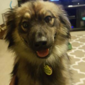 Meet your Posher, Tyler