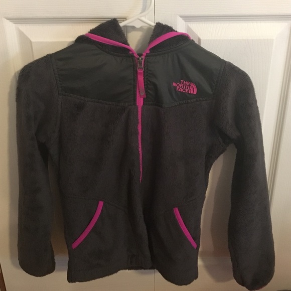 Gray and Pink Furry North Face Jacket